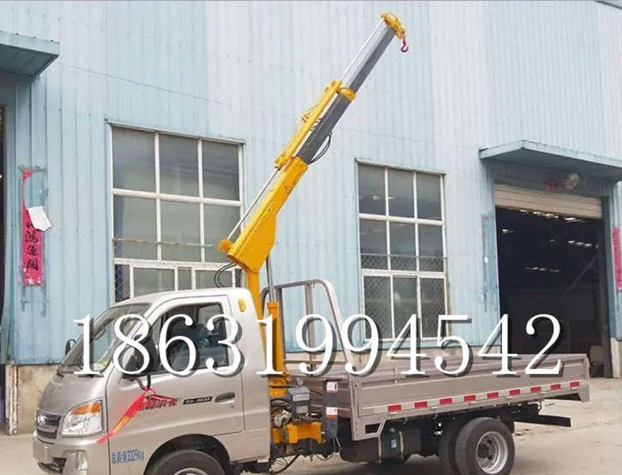 博湖县车载吊机12V液压车载吊货车移动博湖县附近小型遥控升降机车载吊机